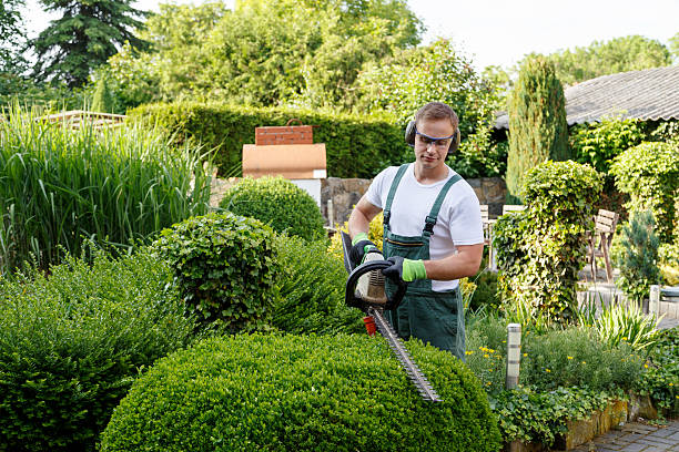 Best Lawn Pest Prevention  in Packanack Lake, NJ